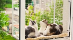 Мачка на прозорецот: како да се спречи несреќа